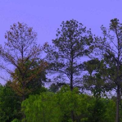 万博全站(Manbetx)官方网站