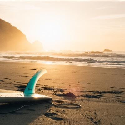 体育电竞押注网站大全截图