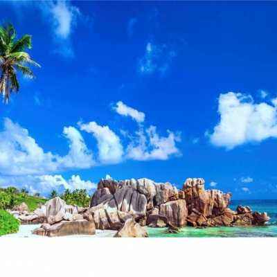 雷竞技RAYBET手机app下载